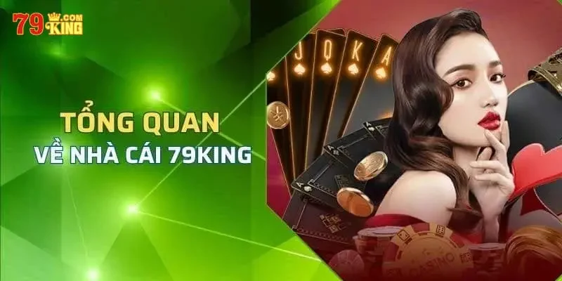 Giới thiệu về 79king